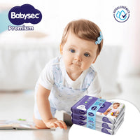 X5 Toallitas Húmedas Babysec Premium Paquete 70 Toallitasc/u