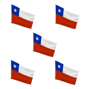 X10 Bandera Premium Chile Chilena Bordada Reforzada 90x60 Cm