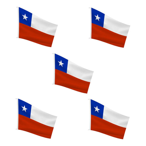X10 Bandera Premium Chile Chilena Bordada Reforzada 90x60 Cm Bandera Chile