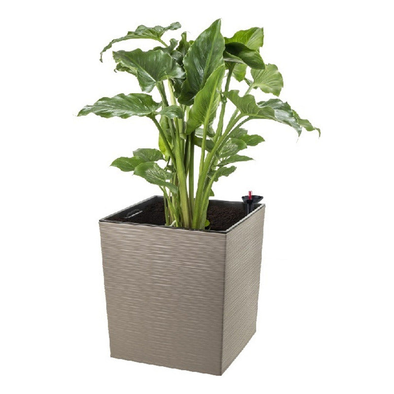 Macetero Cuadrado Estilo Piedra Sistema De Riego Plantas