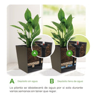 Macetero Cuadrado Estilo Ratán Sistema De Riego Plantas