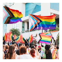 Bandera Diversidad De Genero Multicolor Bandera Arcoiris Gay