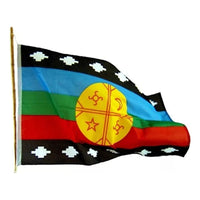 X4 Bandera Mapuche Chilena Bandera Chile Mediana 90x145 Tela Bandera Chile