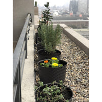 Macetero Redondo Estilo Ratán Maceta Jardinería Plantas