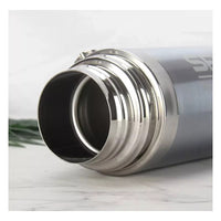 Termo Doble Capa Sport Acero Inoxidable Metalizado 500ml