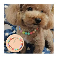 Collar Mascota Accesorio De Mascotas Gato Perro Ajustable