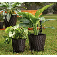 Macetero Redondo Estilo Ratán Maceta Jardinería Plantas