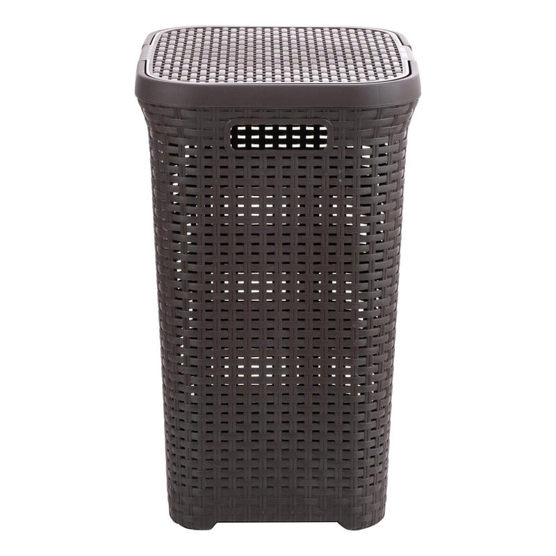 Canasto Para Ropa Cesto Grande 60l Con Tapa Ratan Resistente