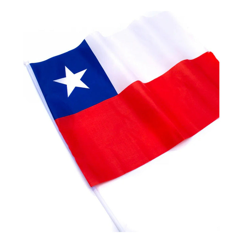 Pack X2 Banderas Chile Auto Fiestas Patrias Banderin 20x30cm Bandera Chile